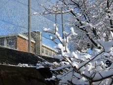 積雪画像　登校坂から校舎を望む