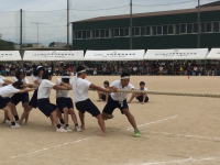 「体育大会」綱引きの画像