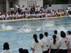 水泳大会2