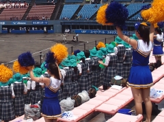 高校野球選手権山口大会1